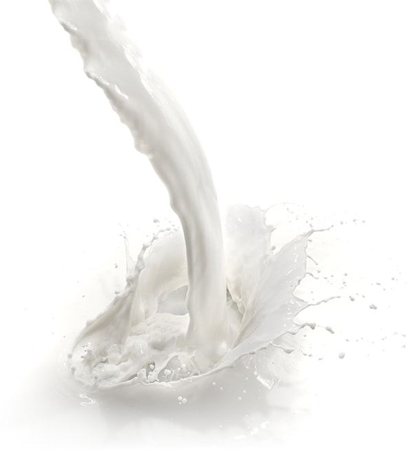 Daugiasluoksnė pieno produktų pakavimo plėvele PACKLUX®